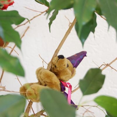 Hausarztpraxis Bad Emstal